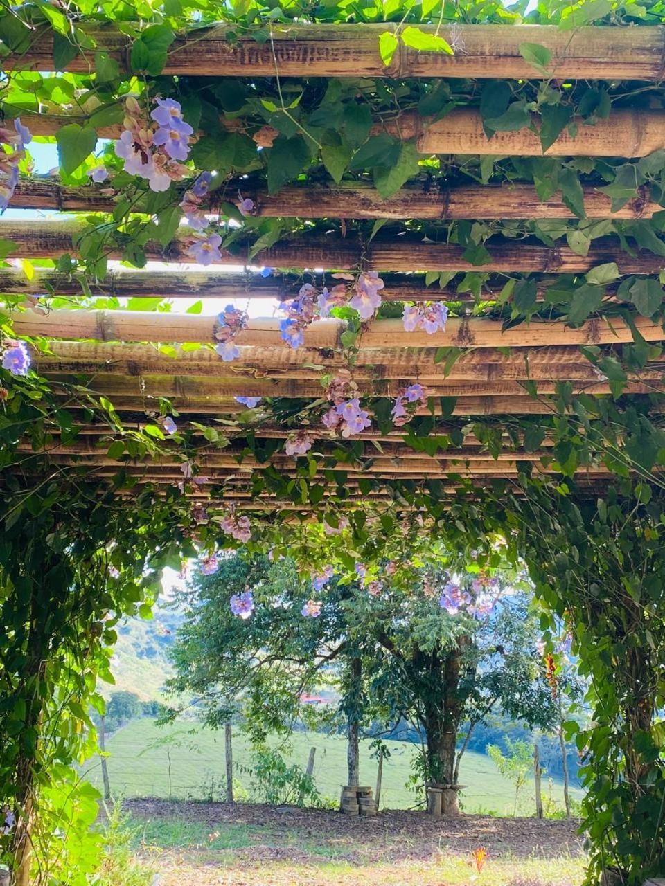 Recanto Flores Da Montanha- Via Facil Acesso Asfalto, Vista Montanhas *