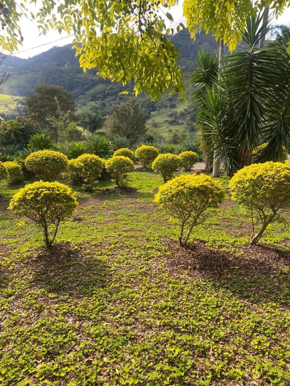 Chalet Recanto Flores Da Montanha- Via Facil Acesso Asfalto, Vista Montanhas Goncalves